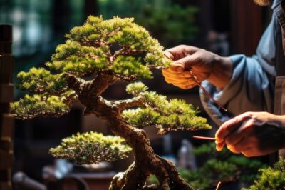 Bonsai Shaping: Pruning vs Pinching