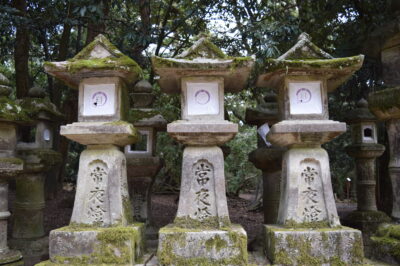 Large Japanese Stone Lanterns Guide: Kasuga Ishi-Dōrō History & Size