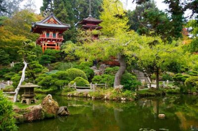 Plants for Japanese & Zen Garden in Northern California: Trees, Shrubs & Flowers Selection