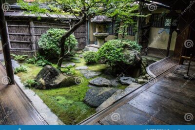 Best Plants for Japanese Courtyard Garden: Tsubo Niwa Ideas